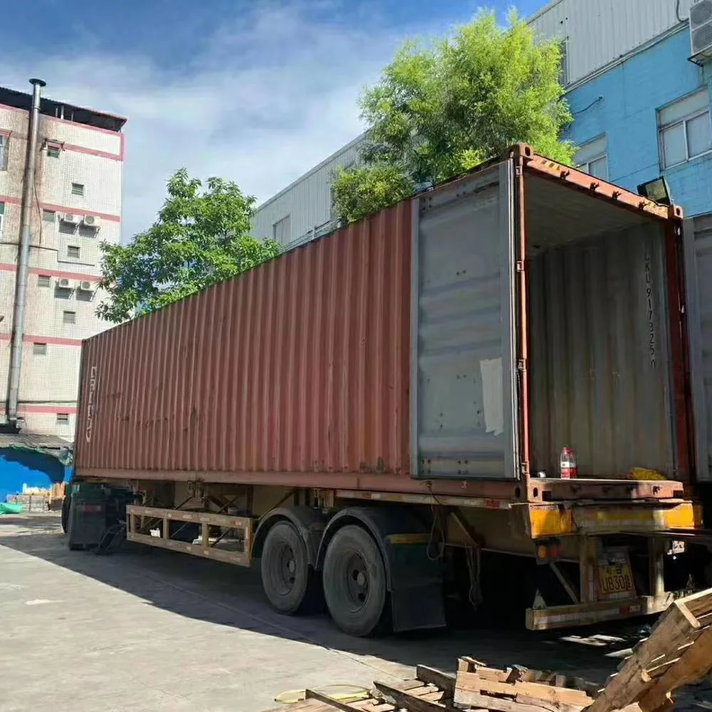 Sea Freight Door to Door DDP Ocean Shipping Service From Shenzhen to Poland