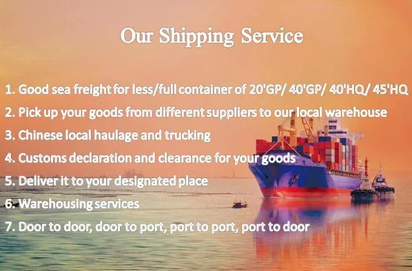 Sea Freight From China Guangzhou to India and America Professional Cheapest Fast Freight Shipping