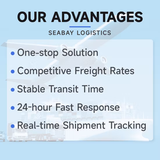 Guangzhou Shenzhen Shanghai Ningbo Tianjin Ocean Freight Forwarder Service para Monterrey México